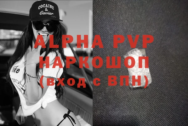гидра Алексин